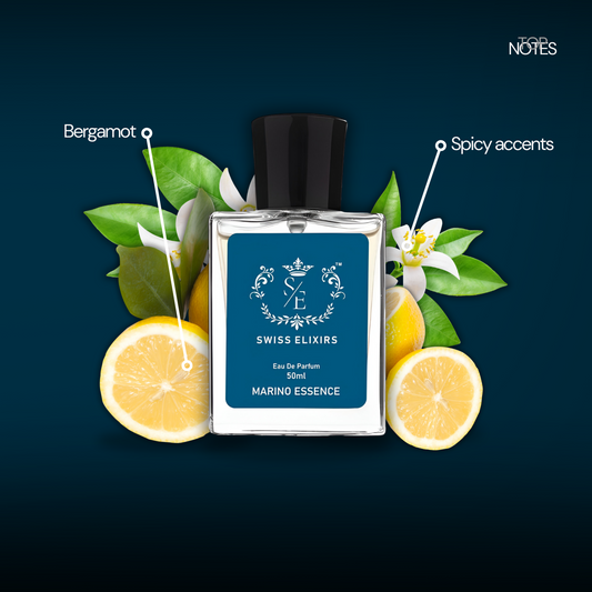 Marino Essence-Cool Marine Notes and Subtle Musk for Effortless Everyday Elegance.
